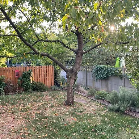 Le Josephine Avec Jardin Privatif